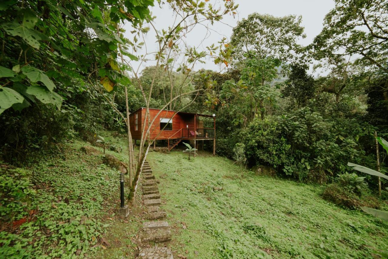 Coffee & Adventure Hotel By La Palma Y El Tucan Zipacon Екстериор снимка