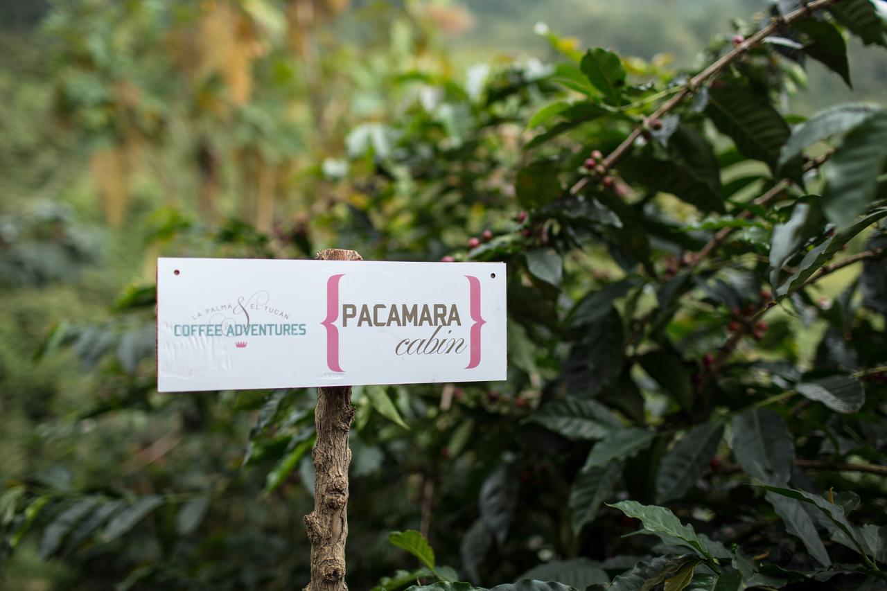Coffee & Adventure Hotel By La Palma Y El Tucan Zipacon Екстериор снимка