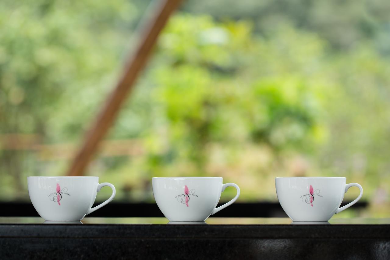 Coffee & Adventure Hotel By La Palma Y El Tucan Zipacon Екстериор снимка