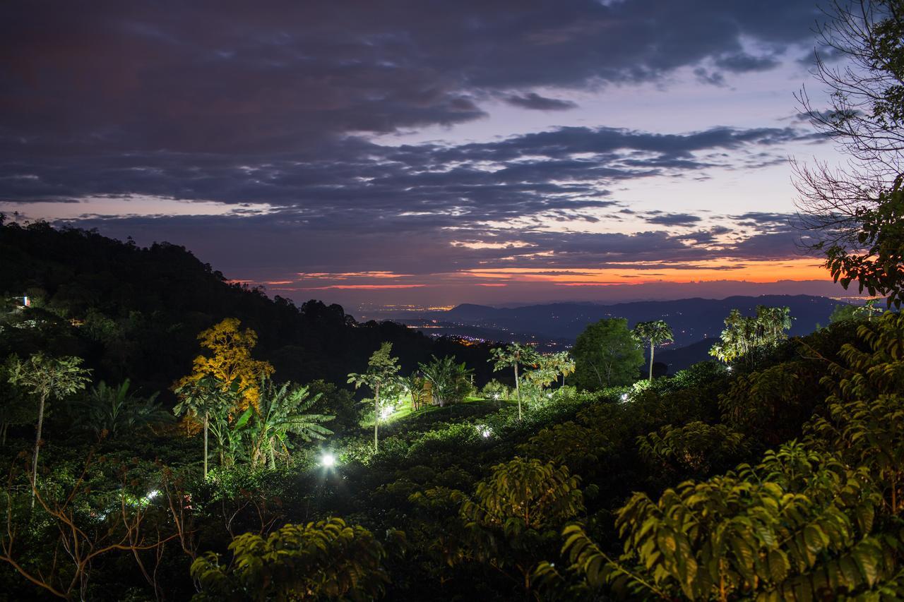 Coffee & Adventure Hotel By La Palma Y El Tucan Zipacon Екстериор снимка