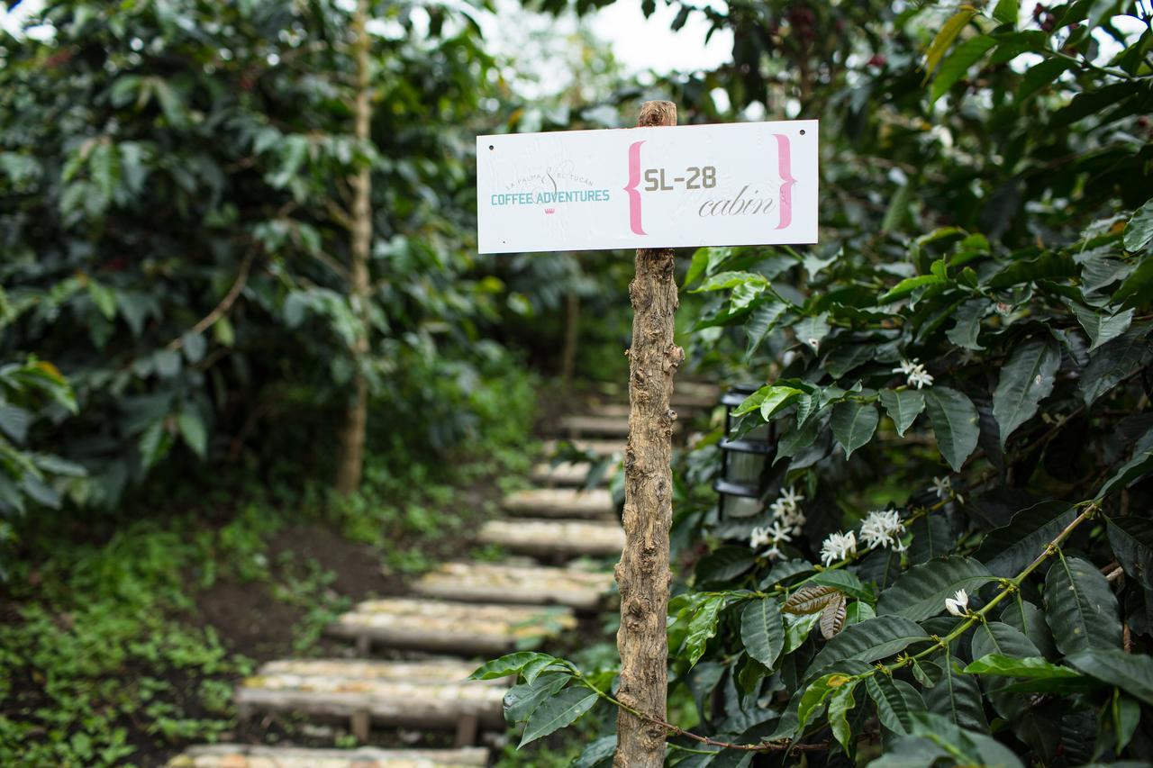 Coffee & Adventure Hotel By La Palma Y El Tucan Zipacon Екстериор снимка