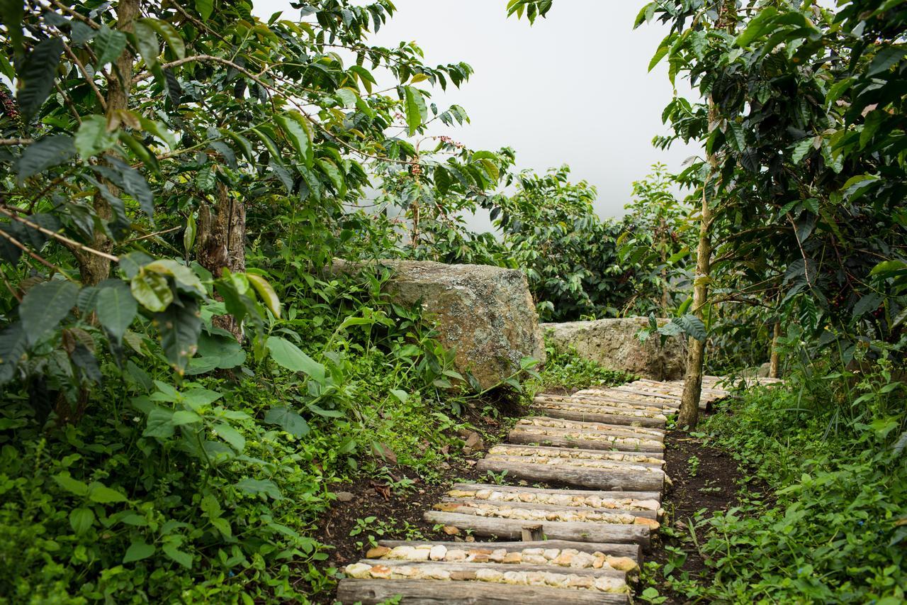 Coffee & Adventure Hotel By La Palma Y El Tucan Zipacon Екстериор снимка