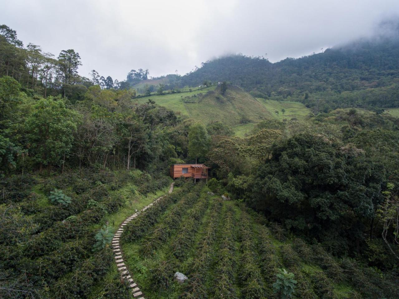 Coffee & Adventure Hotel By La Palma Y El Tucan Zipacon Екстериор снимка