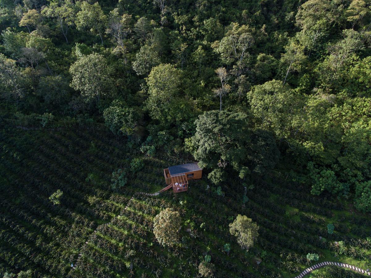 Coffee & Adventure Hotel By La Palma Y El Tucan Zipacon Екстериор снимка